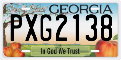 GA license plate PXG2138