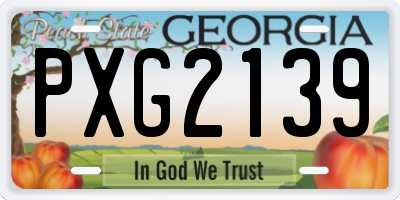 GA license plate PXG2139