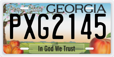GA license plate PXG2145
