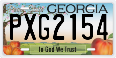 GA license plate PXG2154