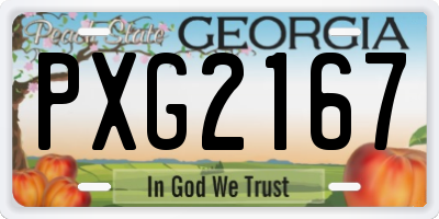 GA license plate PXG2167