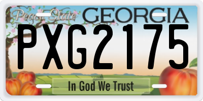 GA license plate PXG2175