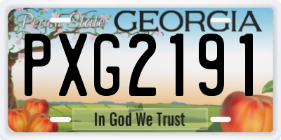 GA license plate PXG2191