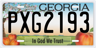 GA license plate PXG2193