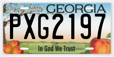 GA license plate PXG2197