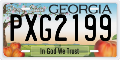 GA license plate PXG2199