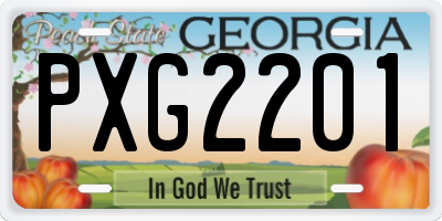 GA license plate PXG2201