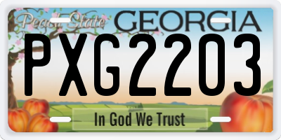 GA license plate PXG2203
