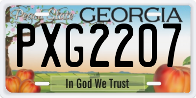 GA license plate PXG2207