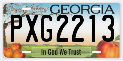 GA license plate PXG2213