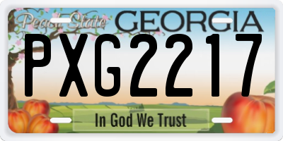 GA license plate PXG2217