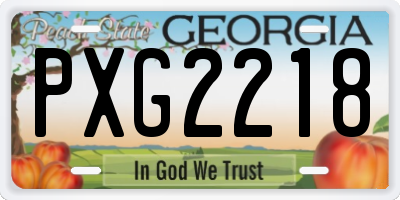 GA license plate PXG2218