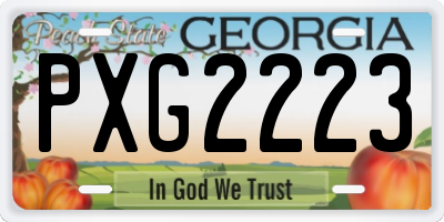 GA license plate PXG2223