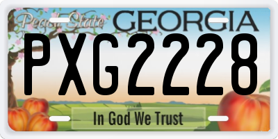 GA license plate PXG2228