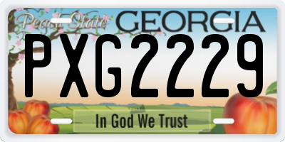 GA license plate PXG2229
