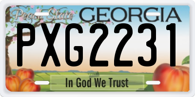 GA license plate PXG2231