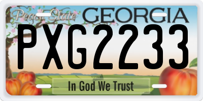 GA license plate PXG2233