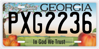 GA license plate PXG2236
