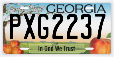 GA license plate PXG2237