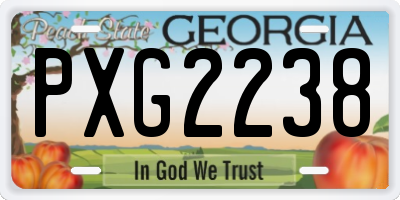 GA license plate PXG2238