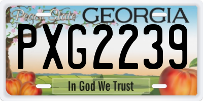 GA license plate PXG2239