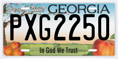 GA license plate PXG2250