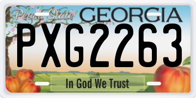 GA license plate PXG2263