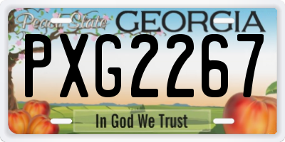 GA license plate PXG2267