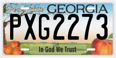 GA license plate PXG2273