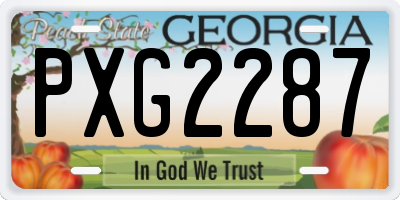 GA license plate PXG2287