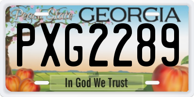 GA license plate PXG2289