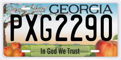 GA license plate PXG2290