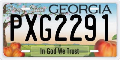 GA license plate PXG2291