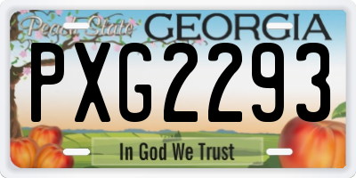GA license plate PXG2293
