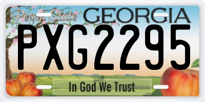 GA license plate PXG2295