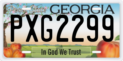GA license plate PXG2299