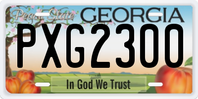 GA license plate PXG2300