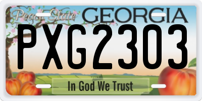 GA license plate PXG2303
