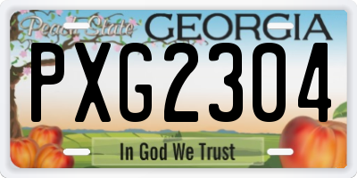 GA license plate PXG2304