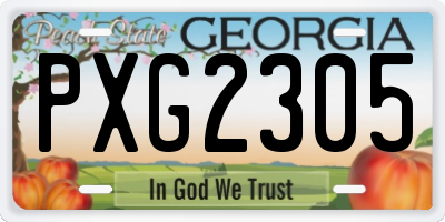GA license plate PXG2305