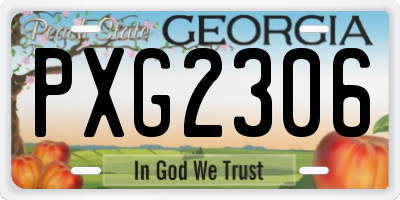 GA license plate PXG2306