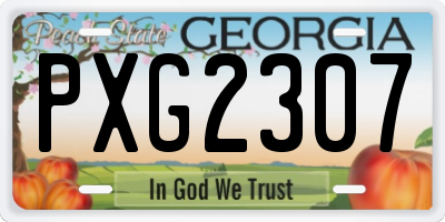 GA license plate PXG2307