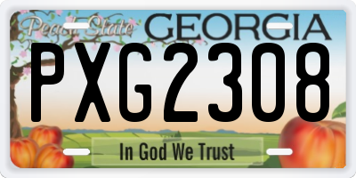 GA license plate PXG2308