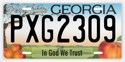 GA license plate PXG2309