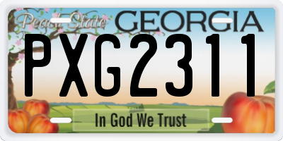 GA license plate PXG2311