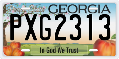 GA license plate PXG2313