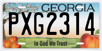 GA license plate PXG2314