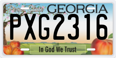 GA license plate PXG2316