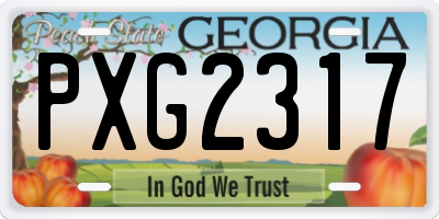 GA license plate PXG2317