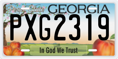 GA license plate PXG2319
